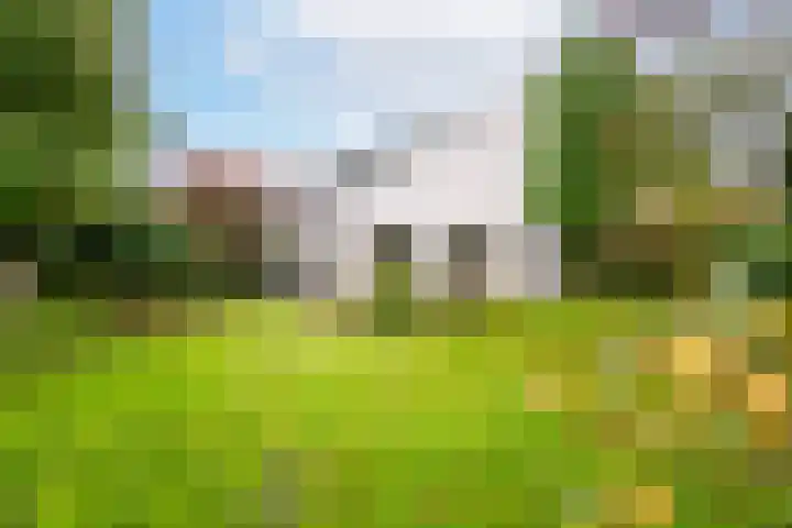 Mozartlaan 19 Oss thumbnail 4