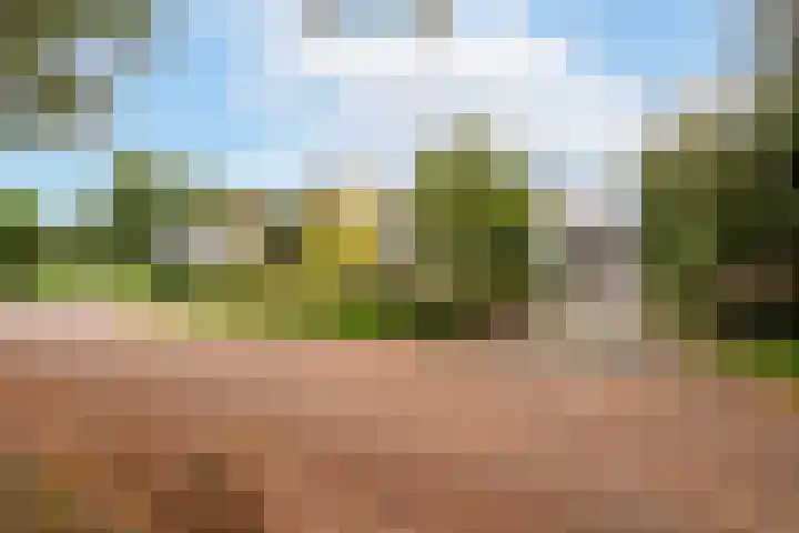 Mozartlaan 19 Oss thumbnail 5