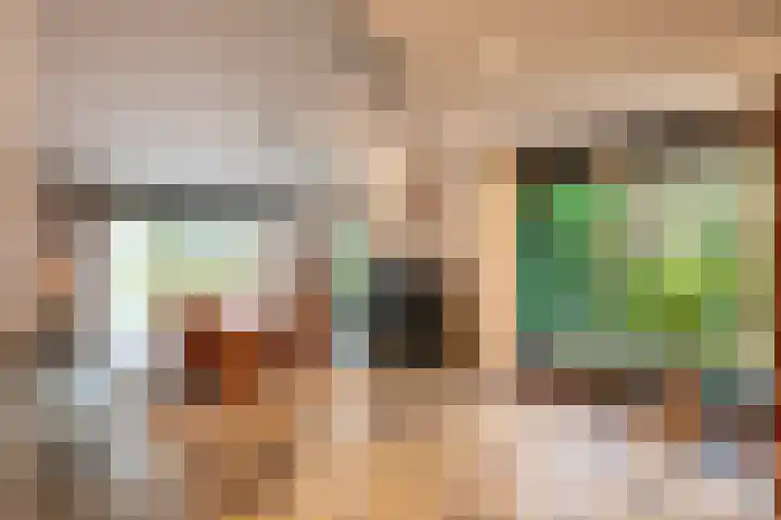 Mozartlaan 19 Oss thumbnail 7