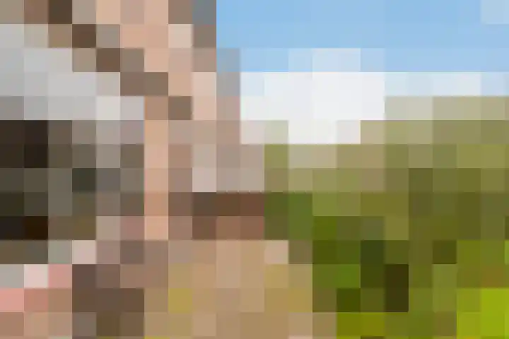 Mozartlaan 19 Vlaardingen thumbnail 17