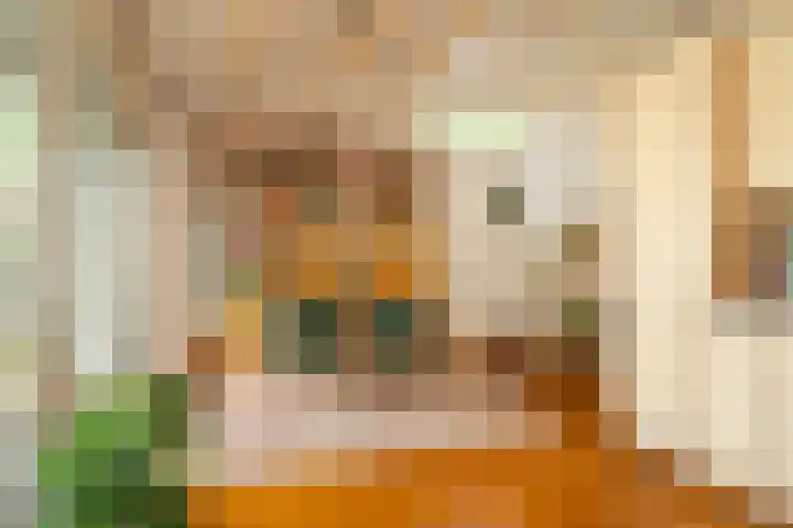 Mozartlaan 190 Enschede thumbnail 19
