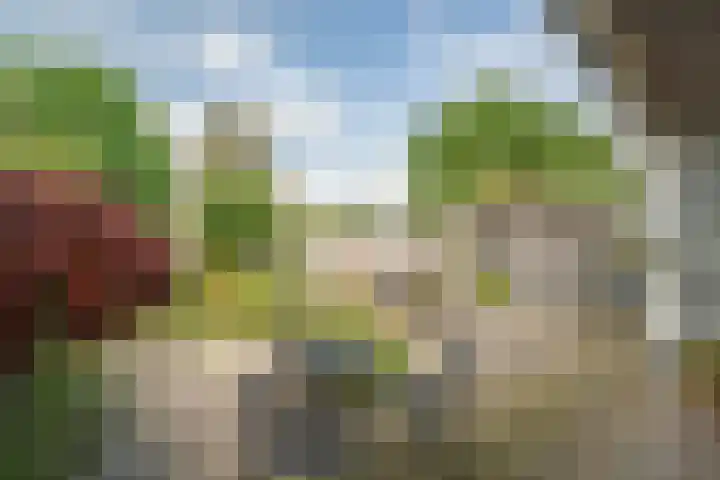 Mozartlaan 190 Enschede thumbnail 40
