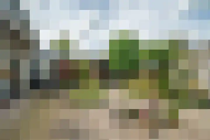 Mozartlaan 190 Enschede thumbnail 45