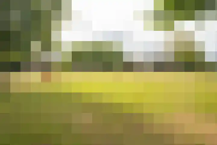 Mozartlaan 190 Enschede thumbnail 52