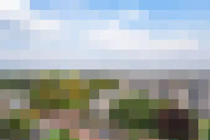 Mozartlaan 194 Den Haag thumbnail 39