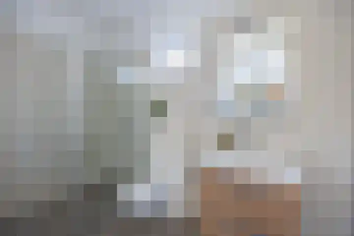 Mozartlaan 2 Castricum thumbnail 13