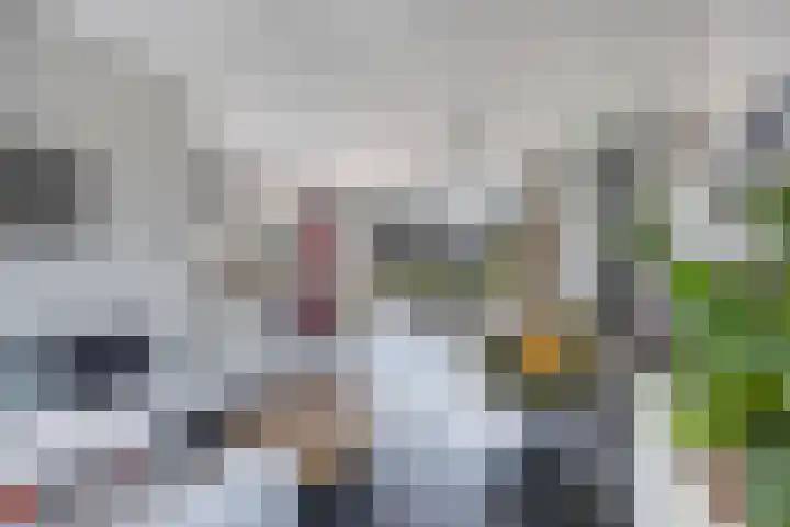 Mozartlaan 2 Castricum thumbnail 16