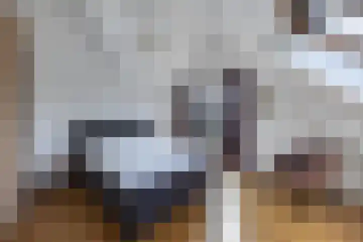 Mozartlaan 2 Castricum thumbnail 25