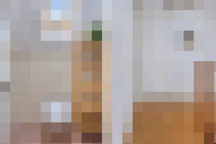 Mozartlaan 2 Castricum thumbnail 26