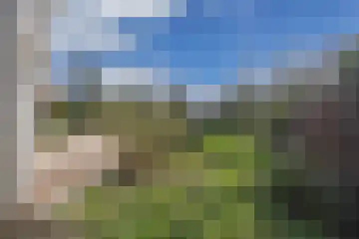 Mozartlaan 2 Castricum thumbnail 34