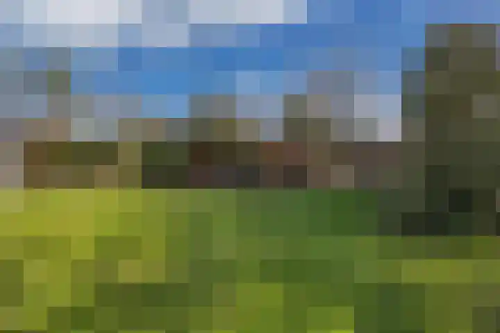 Mozartlaan 2 Castricum thumbnail 36