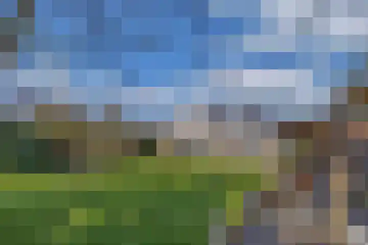 Mozartlaan 2 Castricum thumbnail 39