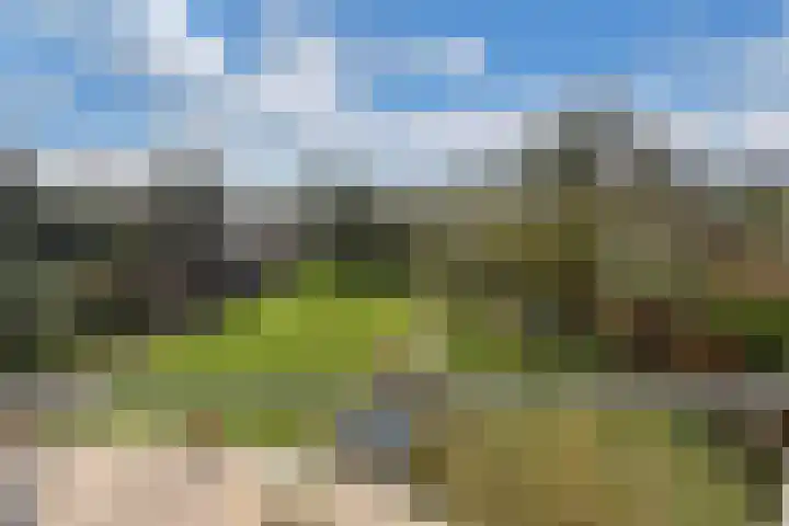 Mozartlaan 2 Castricum thumbnail 4