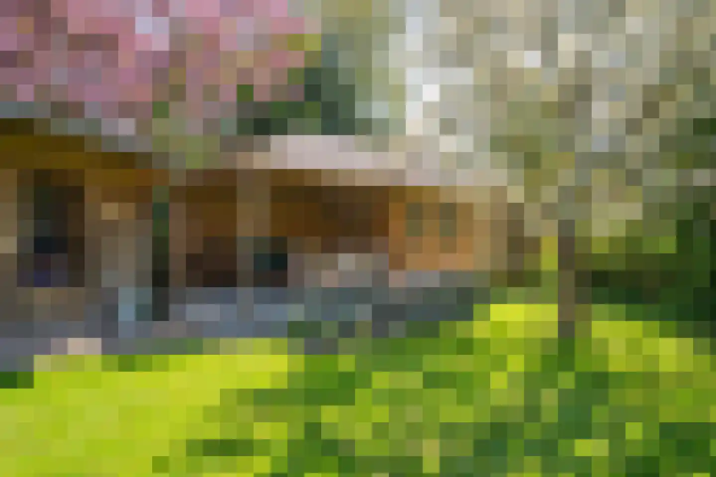 Mozartlaan 2 Castricum thumbnail 40