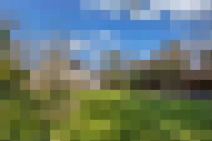 Mozartlaan 2 Castricum thumbnail 40