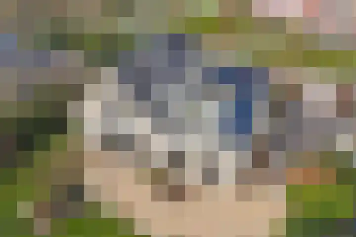 Mozartlaan 2 Castricum thumbnail 51