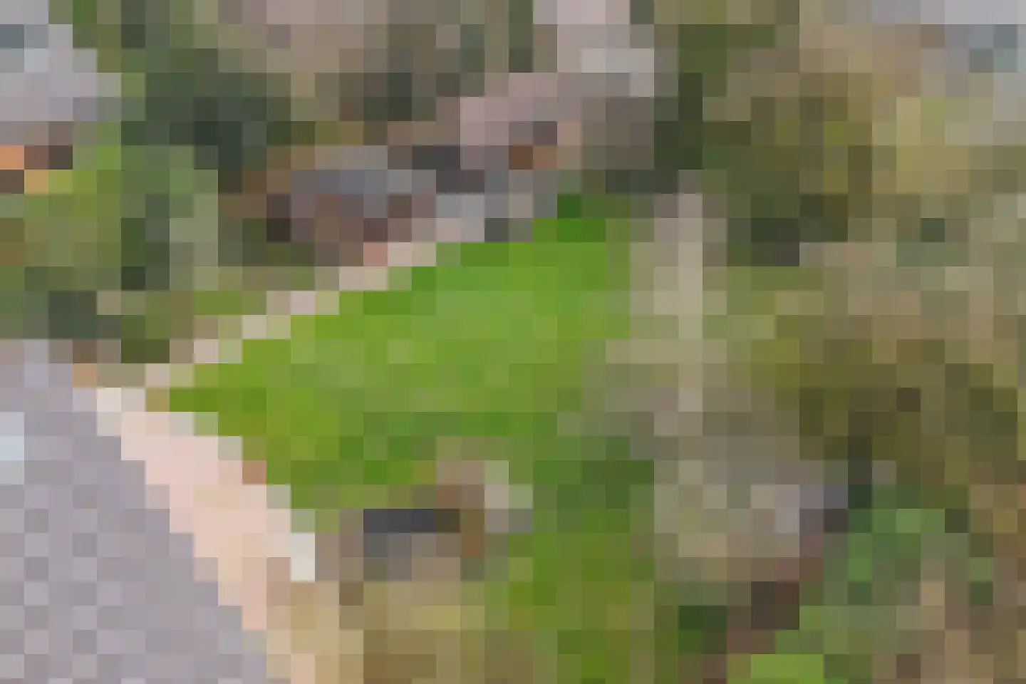 Mozartlaan 2 Castricum thumbnail 53
