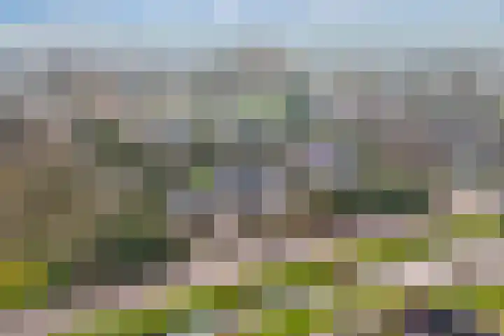 Mozartlaan 2 Castricum thumbnail 59
