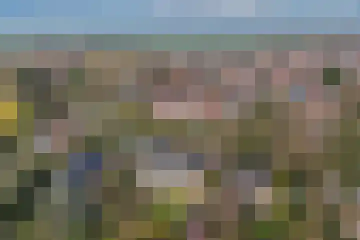 Mozartlaan 2 Castricum thumbnail 60