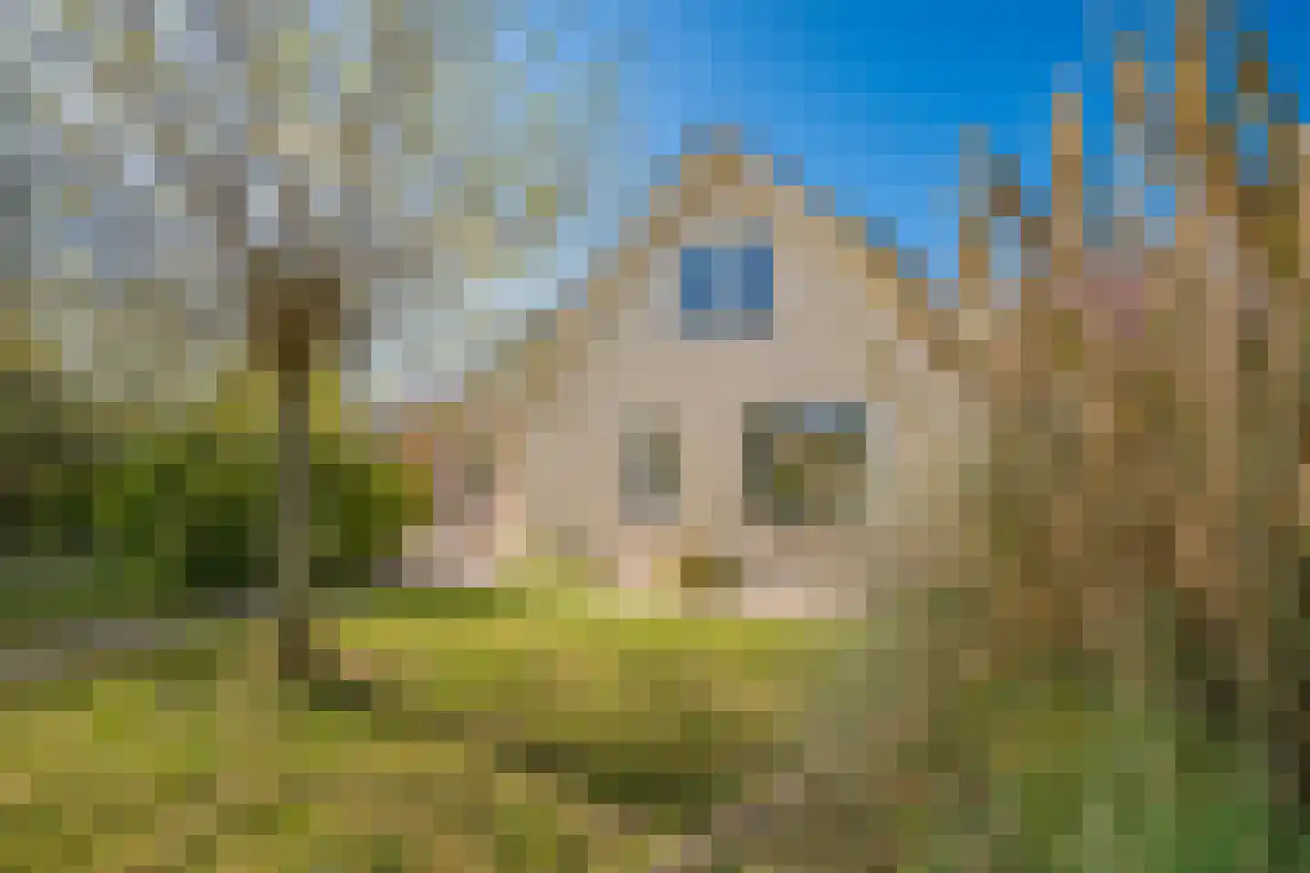Mozartlaan 2 Castricum thumbnail 60