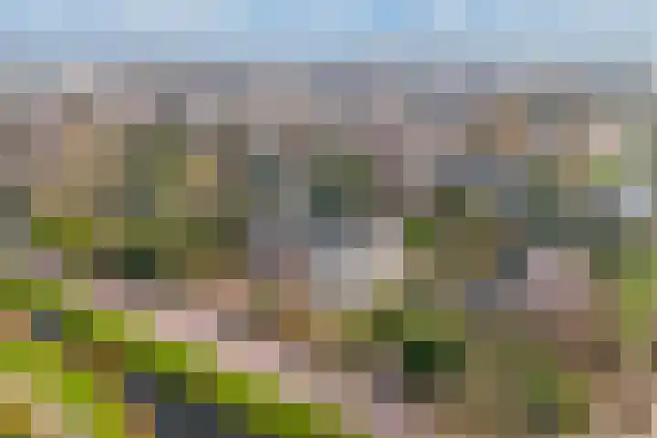 Mozartlaan 2 Castricum thumbnail 61