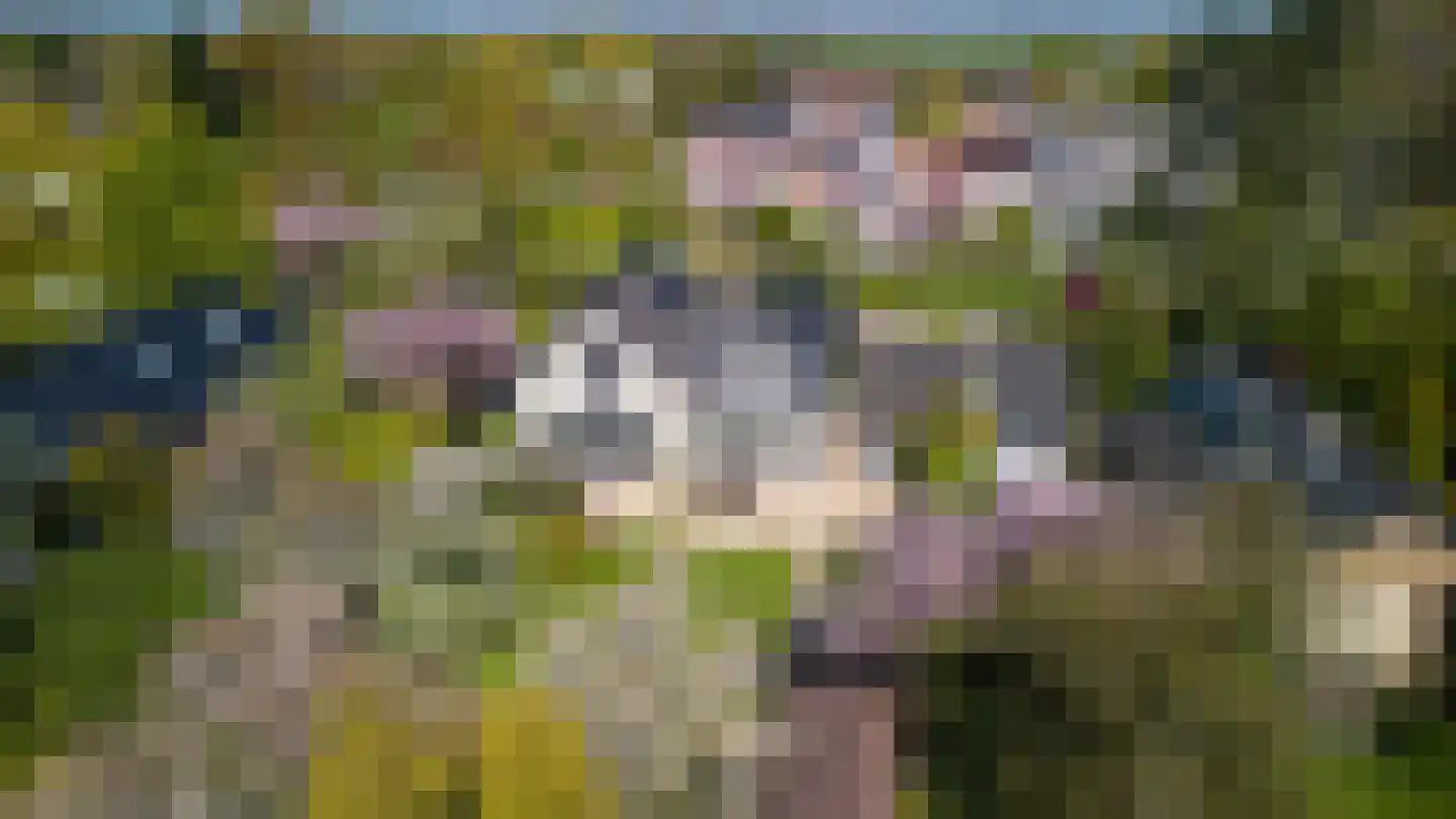 Mozartlaan 2 Castricum thumbnail 65