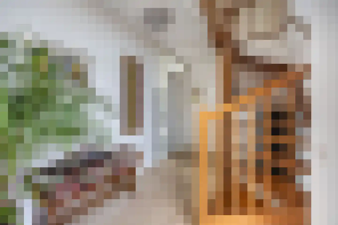 Mozartlaan 2 Castricum thumbnail 7