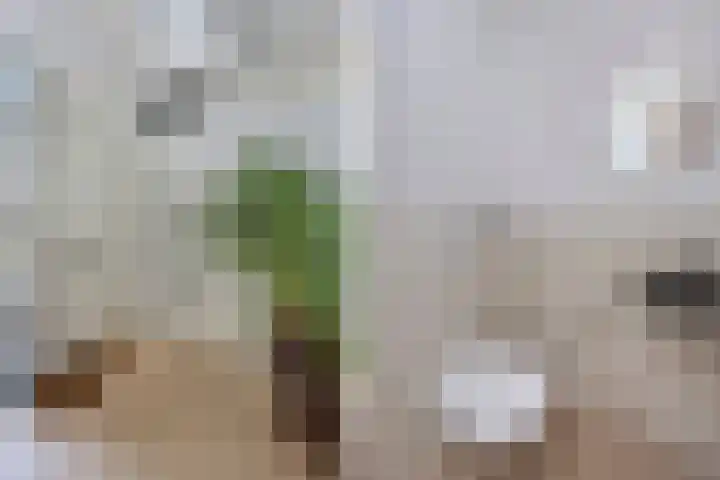 Mozartlaan 2 Castricum thumbnail 8