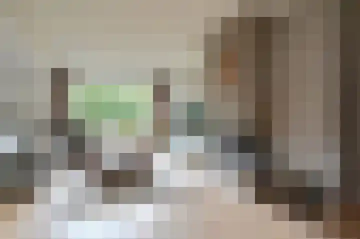 Mozartlaan 2 Huizen thumbnail 11