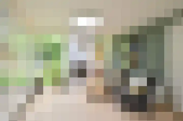 Mozartlaan 2 Huizen thumbnail 24