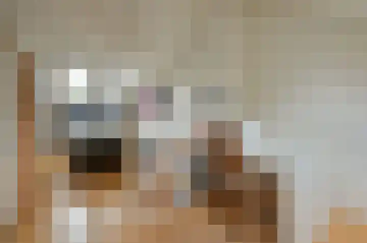 Mozartlaan 2 Huizen thumbnail 34