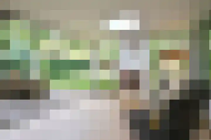 Mozartlaan 2 Huizen thumbnail 4