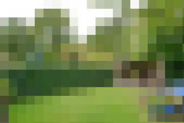 Mozartlaan 2 Huizen thumbnail 40