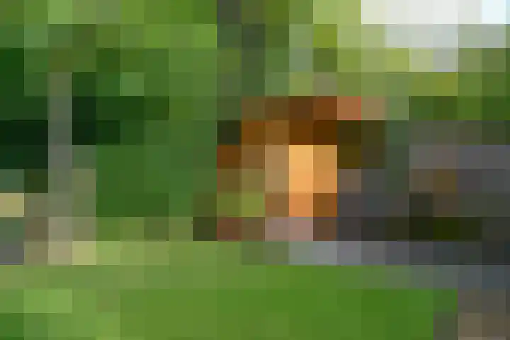 Mozartlaan 2 Huizen thumbnail 43