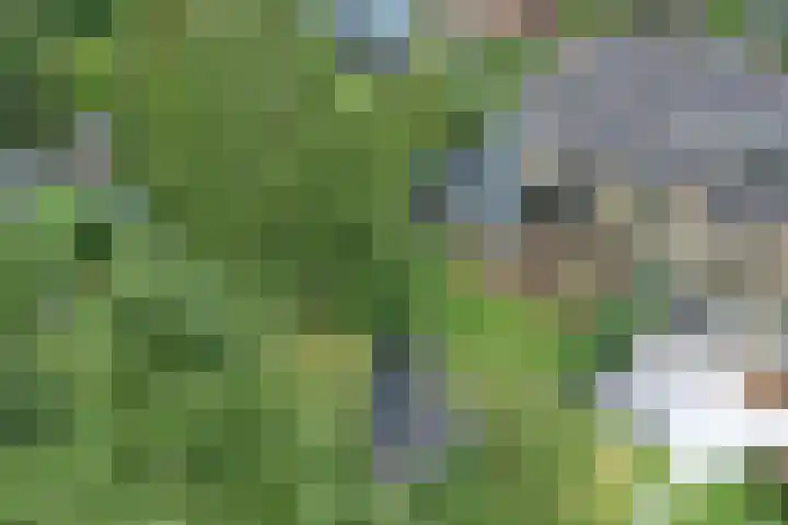 Mozartlaan 2 Huizen thumbnail 44
