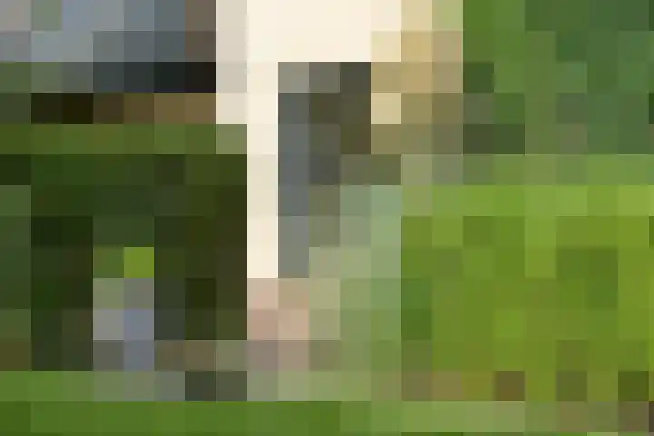 Mozartlaan 2 Huizen thumbnail 45