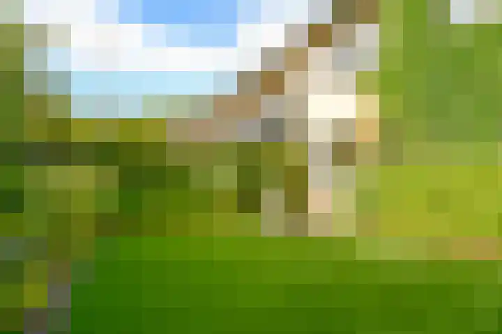 Mozartlaan 2 Huizen thumbnail 46