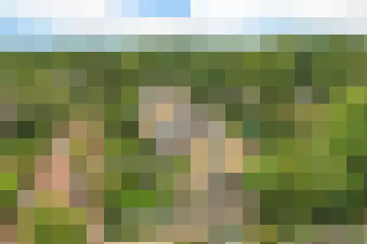 Mozartlaan 2 Huizen thumbnail 5