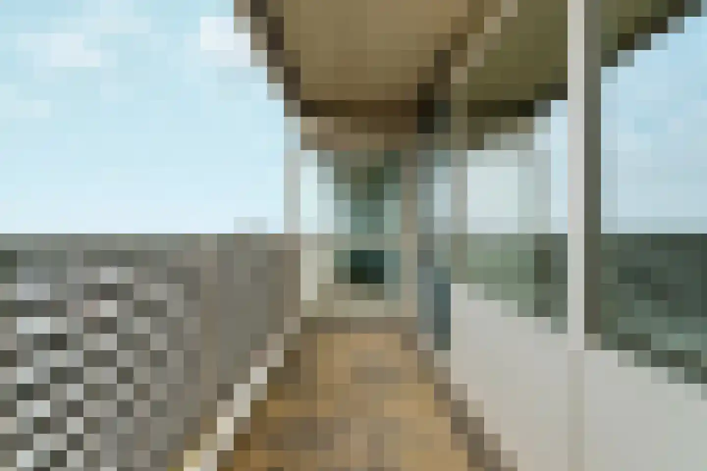 Mozartlaan 202 Den Haag thumbnail 23