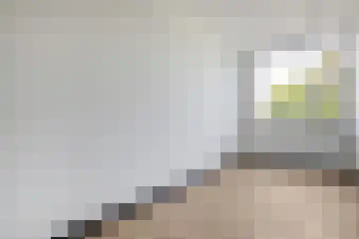 Mozartlaan 210 Tilburg thumbnail 16