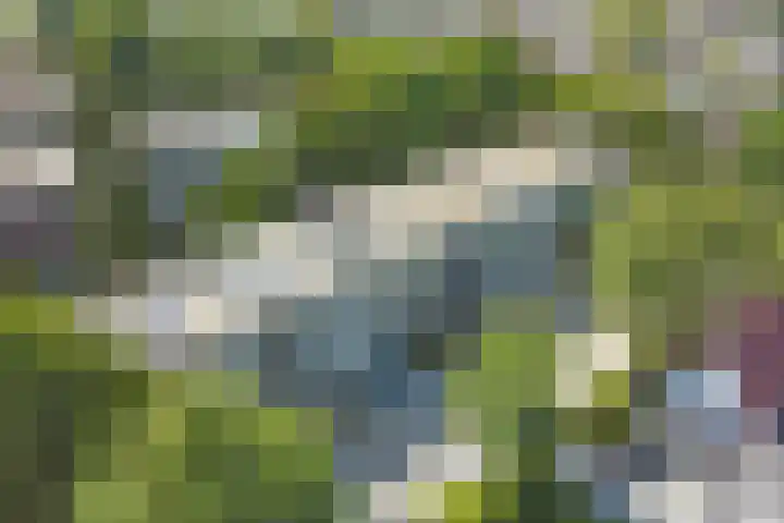 Mozartlaan 210 Tilburg thumbnail 28