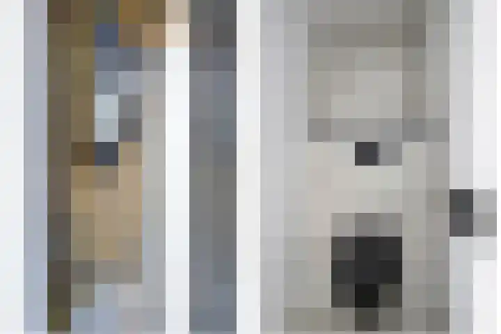 Mozartlaan 210 Tilburg thumbnail 5