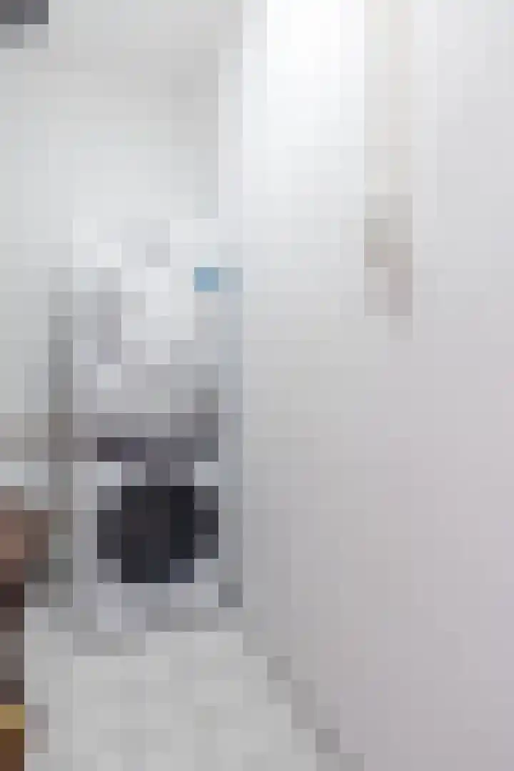Mozartlaan 212 Tilburg thumbnail 12