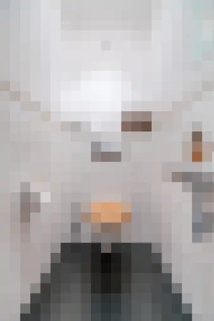 Mozartlaan 212 Tilburg thumbnail 13