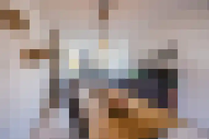 Mozartlaan 212 Tilburg thumbnail 24