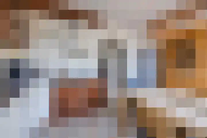 Mozartlaan 212 Tilburg thumbnail 28