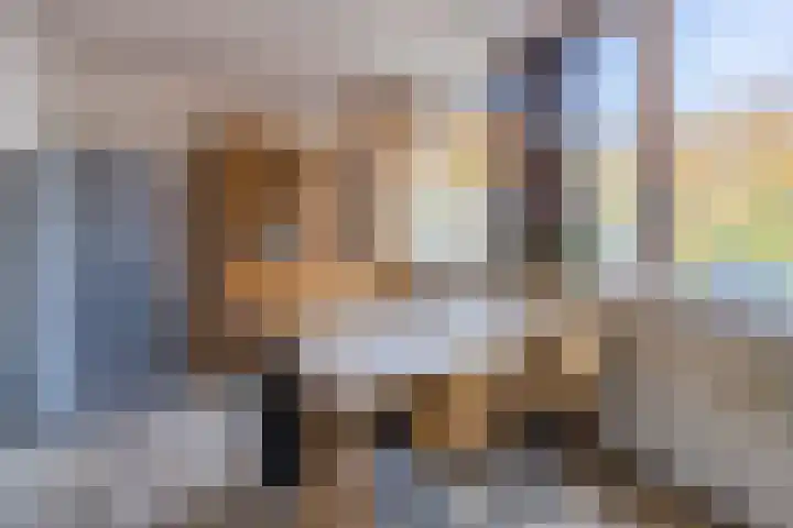 Mozartlaan 212 Tilburg thumbnail 29