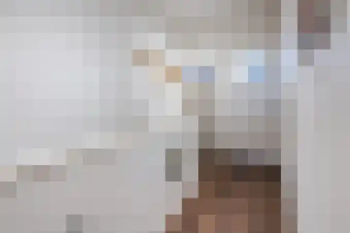 Mozartlaan 212 Tilburg thumbnail 32