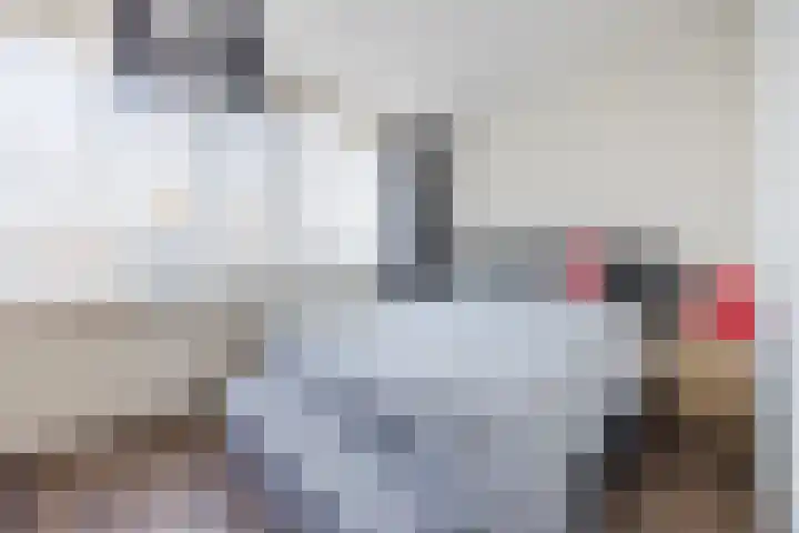 Mozartlaan 212 Tilburg thumbnail 33