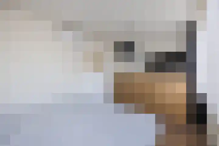Mozartlaan 212 Tilburg thumbnail 35